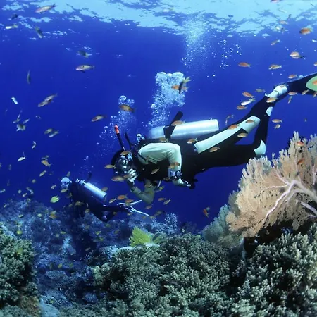 Ars Vivendi Apartment Trogir